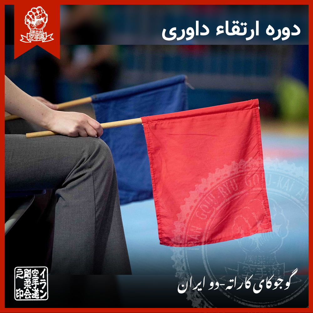 دوره ارتقاء داوری